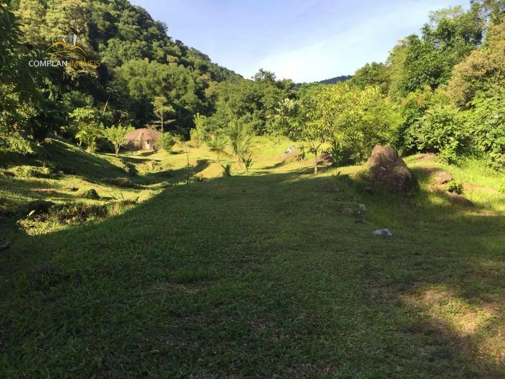 Sítio, 3 quartos, 4000 m² - Foto 45