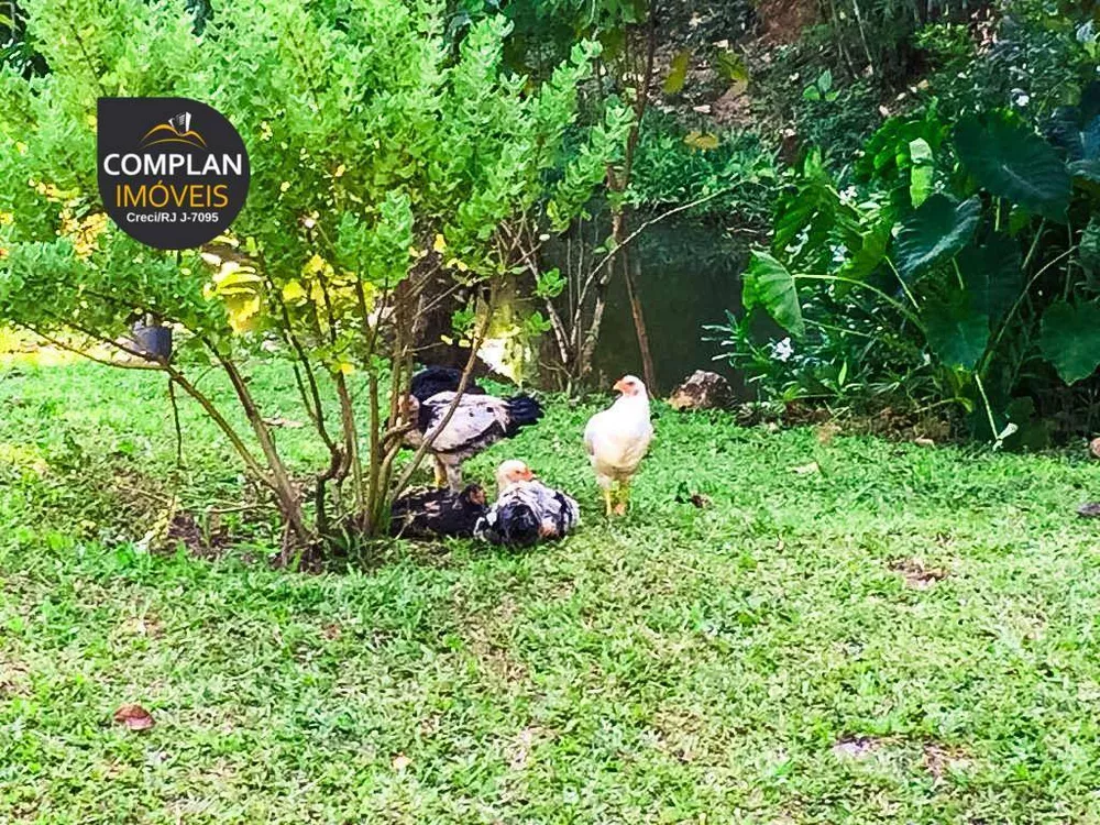 Sítio, 3 quartos, 4000 m² - Foto 6