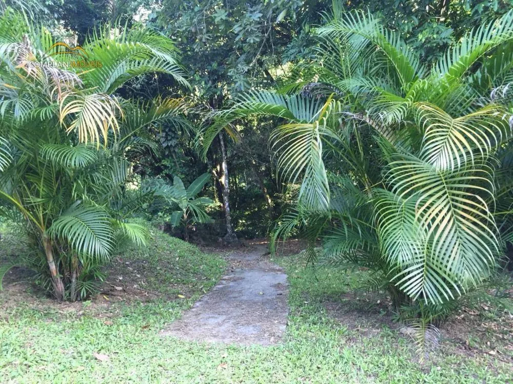 Sítio, 3 quartos, 4000 m² - Foto 67