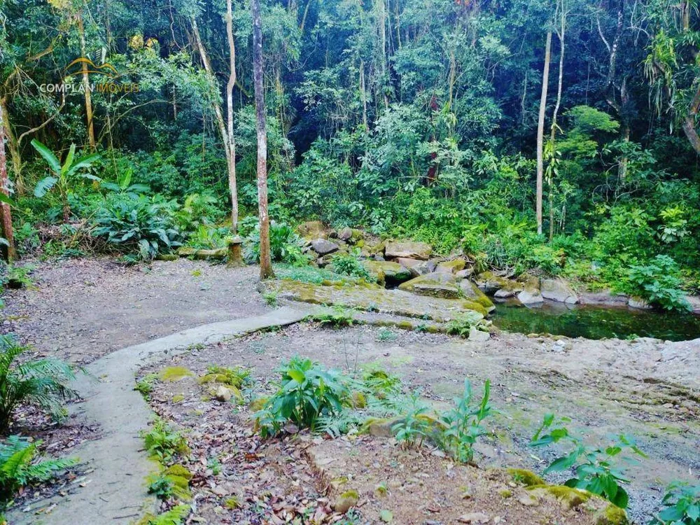 Sítio, 3 quartos, 4000 m² - Foto 53