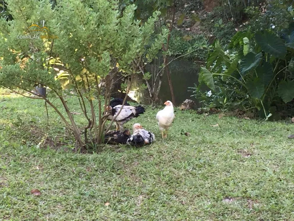 Sítio, 3 quartos, 4000 m² - Foto 40