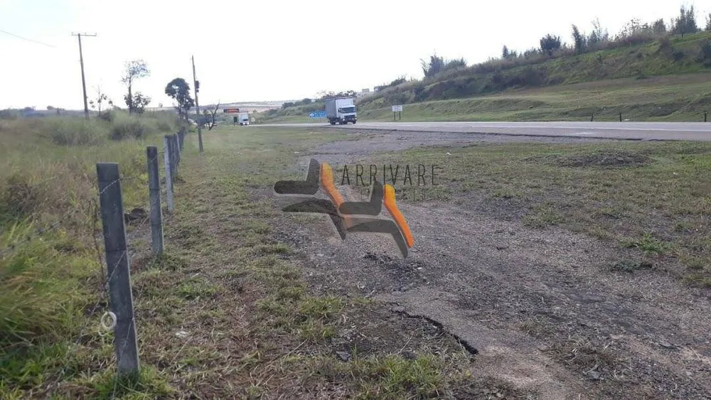 Terreno, 4 hectares - Foto 4