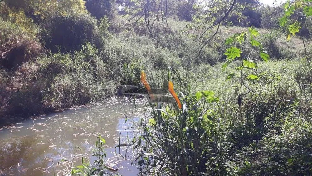 Terreno, 19 hectares - Foto 4