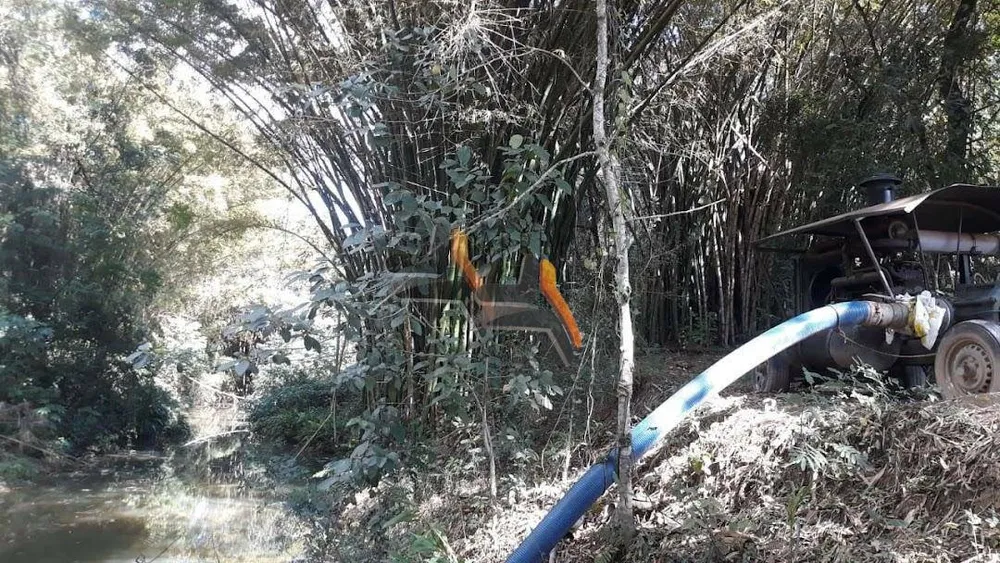 Terreno, 19 hectares - Foto 6