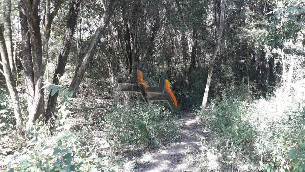 Terreno, 19 hectares - Foto 3