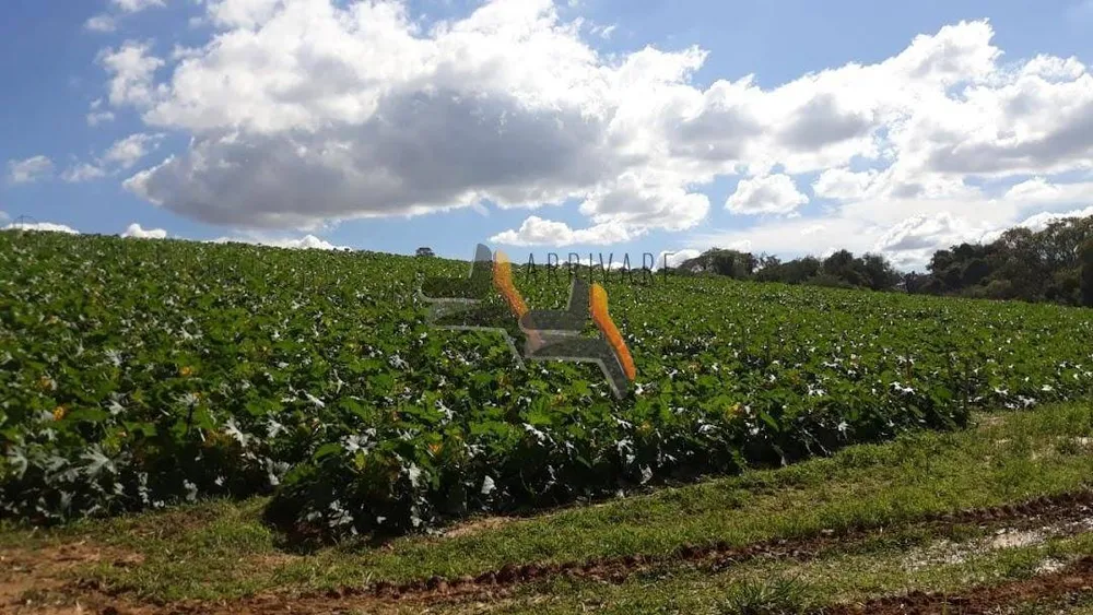 Terreno, 19 hectares - Foto 1