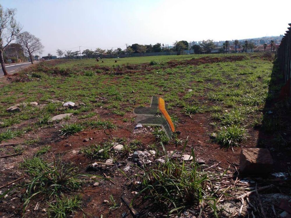 Terreno, 4 hectares - Foto 4