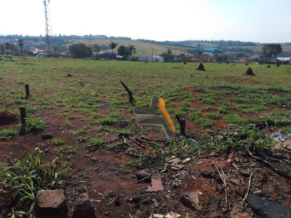 Terreno, 4 hectares - Foto 3