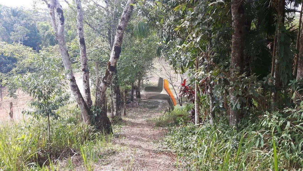 Sítio, 10 hectares - Foto 1