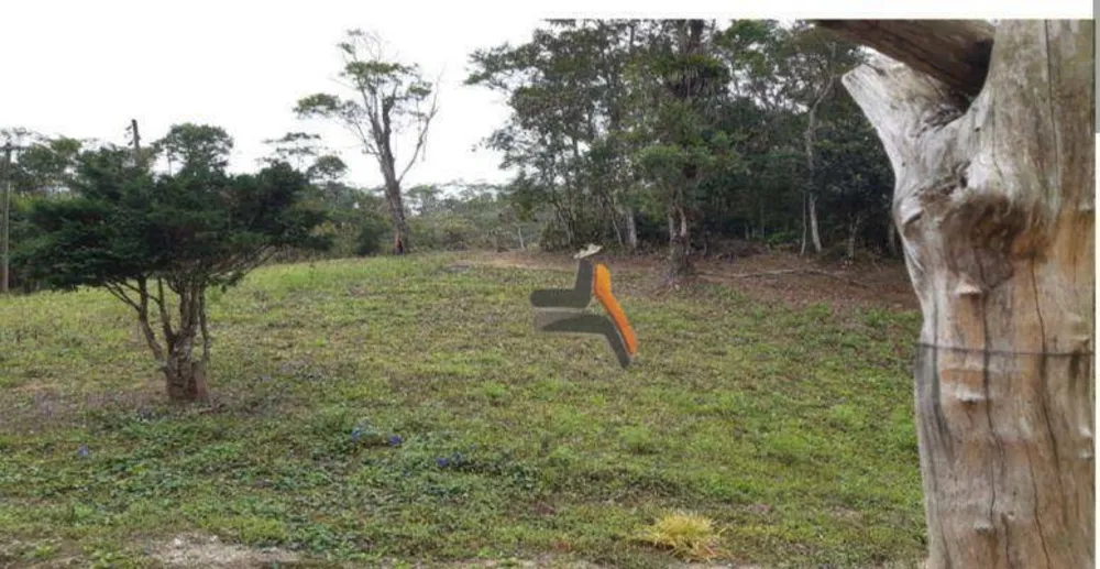 Sítio, 10 hectares - Foto 18