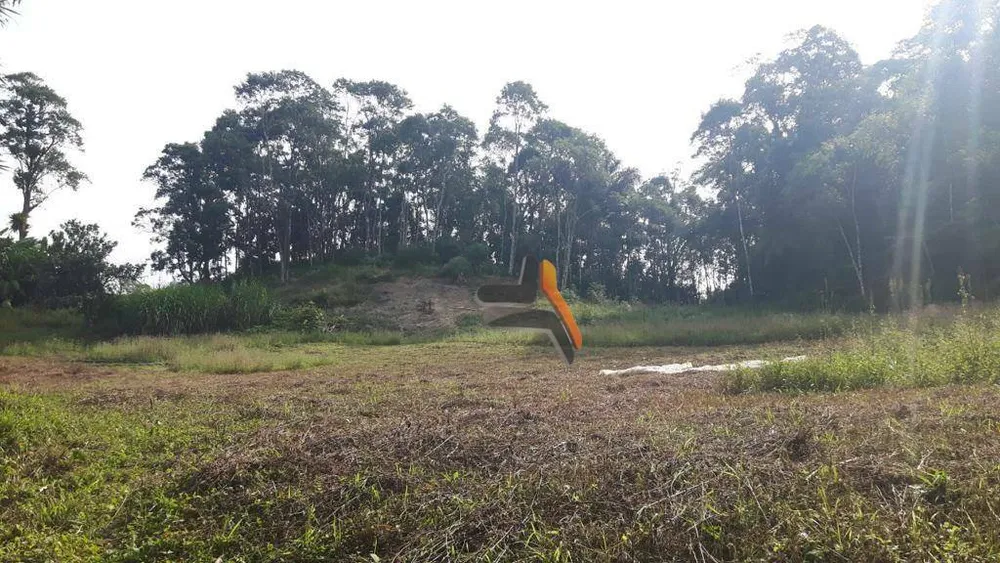 Sítio, 10 hectares - Foto 16