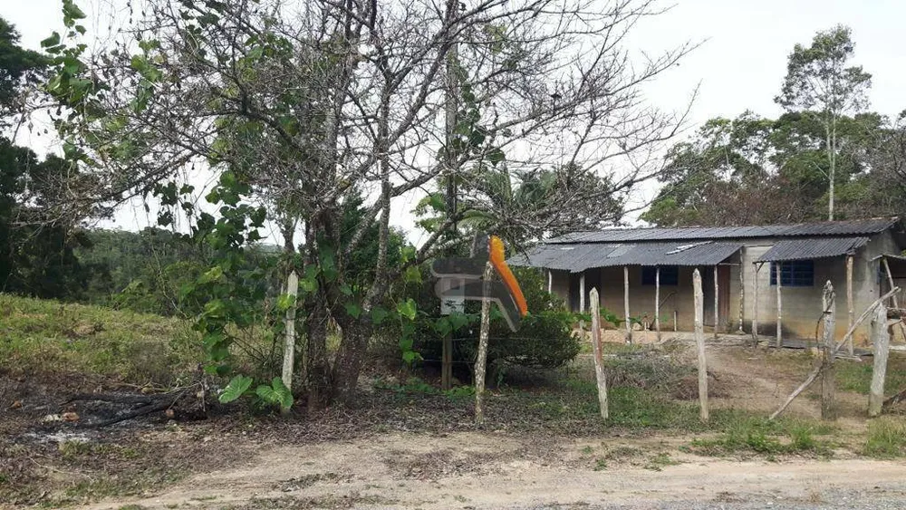 Sítio, 10 hectares - Foto 17
