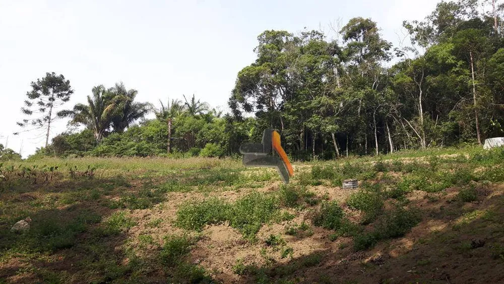 Sítio, 10 hectares - Foto 11