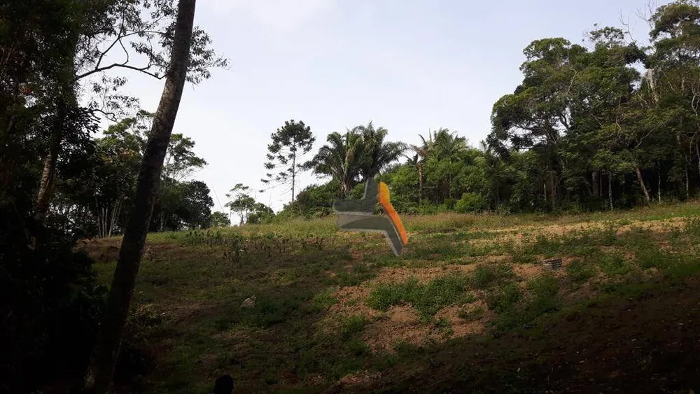Sítio, 10 hectares - Foto 10