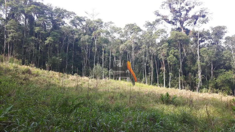 Sítio, 10 hectares - Foto 15