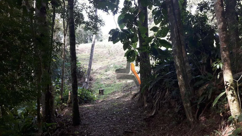 Sítio, 10 hectares - Foto 4