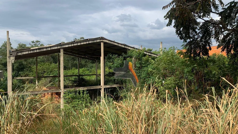 Terreno, 5335 m² - Foto 2