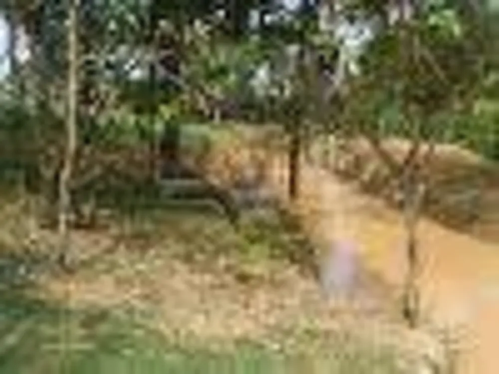 Loteamento e Condomínio, 300 m² - Foto 8