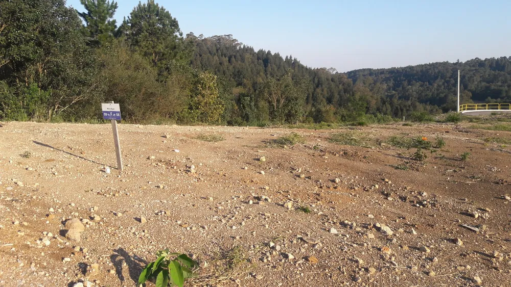 Terreno, 323 m² - Foto 7