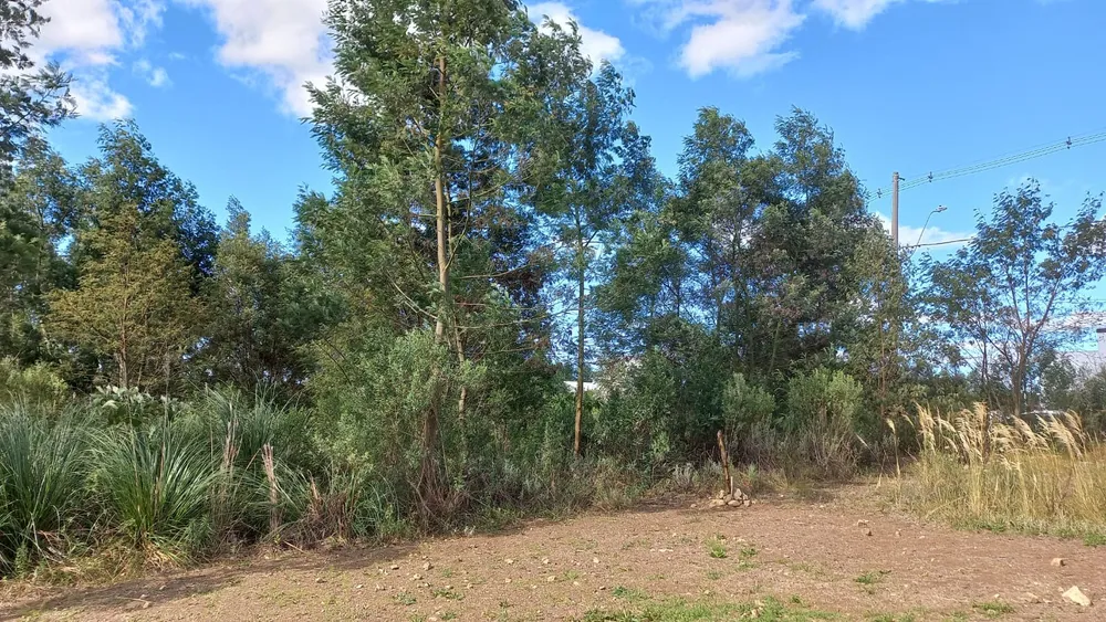 Terreno, 330 m² - Foto 1