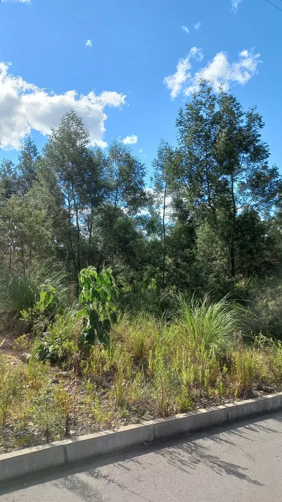 Terreno, 330 m² - Foto 5