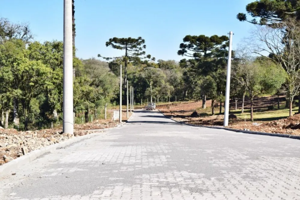 Terreno, 502 m² - Foto 6