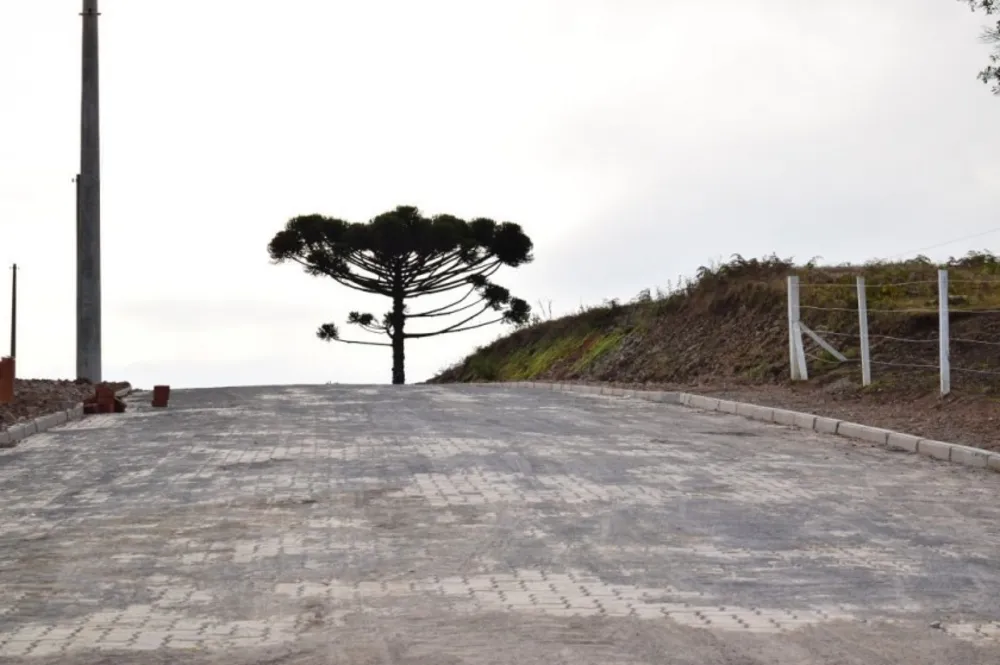 Terreno, 502 m² - Foto 8
