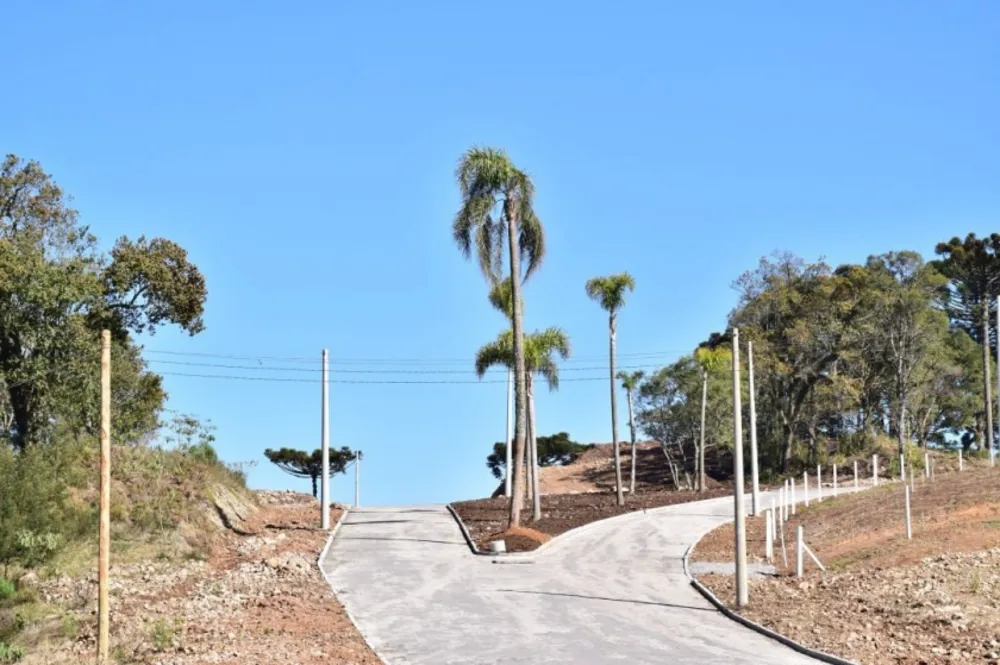 Terreno, 502 m² - Foto 2