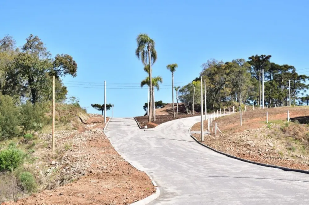 Terreno, 502 m² - Foto 5