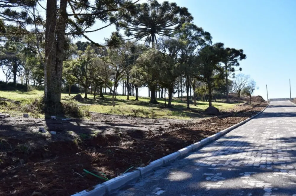 Terreno, 502 m² - Foto 3
