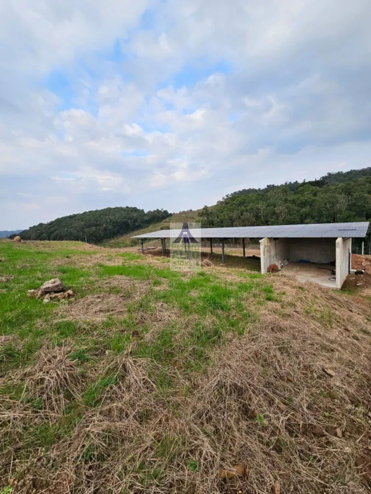 Chácara, 2 quartos, 60 m² - Foto 4