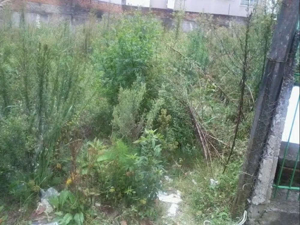 Terreno, 283 m² - Foto 2