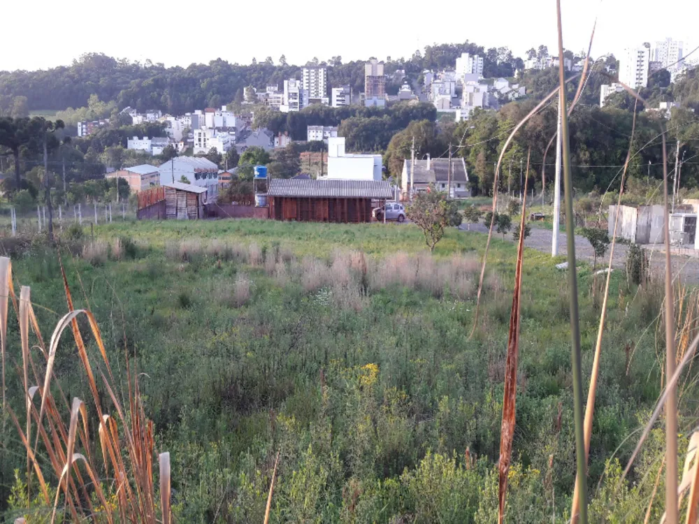 Terreno, 360 m² - Foto 5