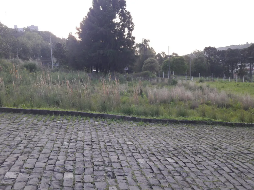 Terreno, 360 m² - Foto 6