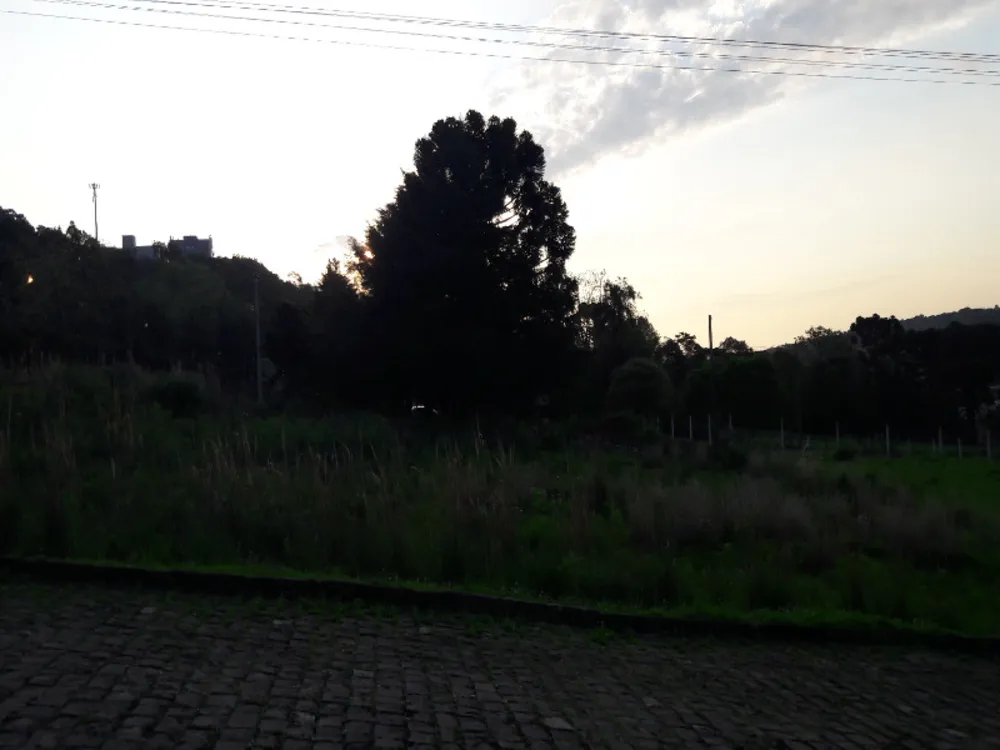 Terreno, 360 m² - Foto 4