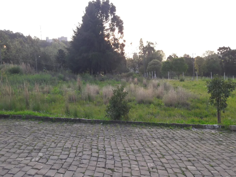 Terreno, 360 m² - Foto 1