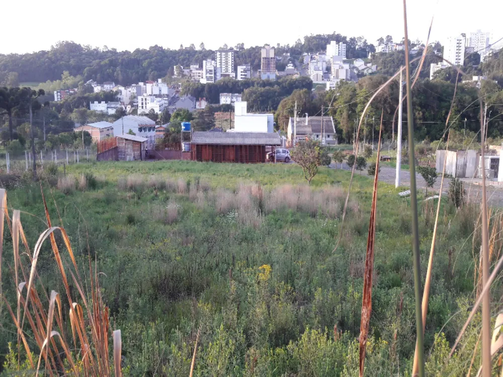 Terreno, 360 m² - Foto 2