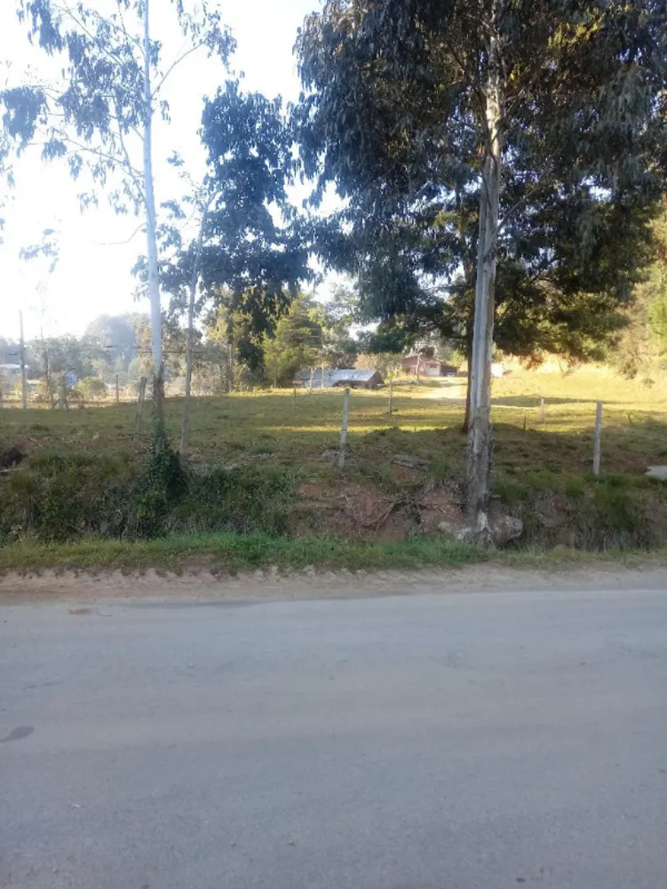 Chácara, 4 quartos, 10000 m² - Foto 3