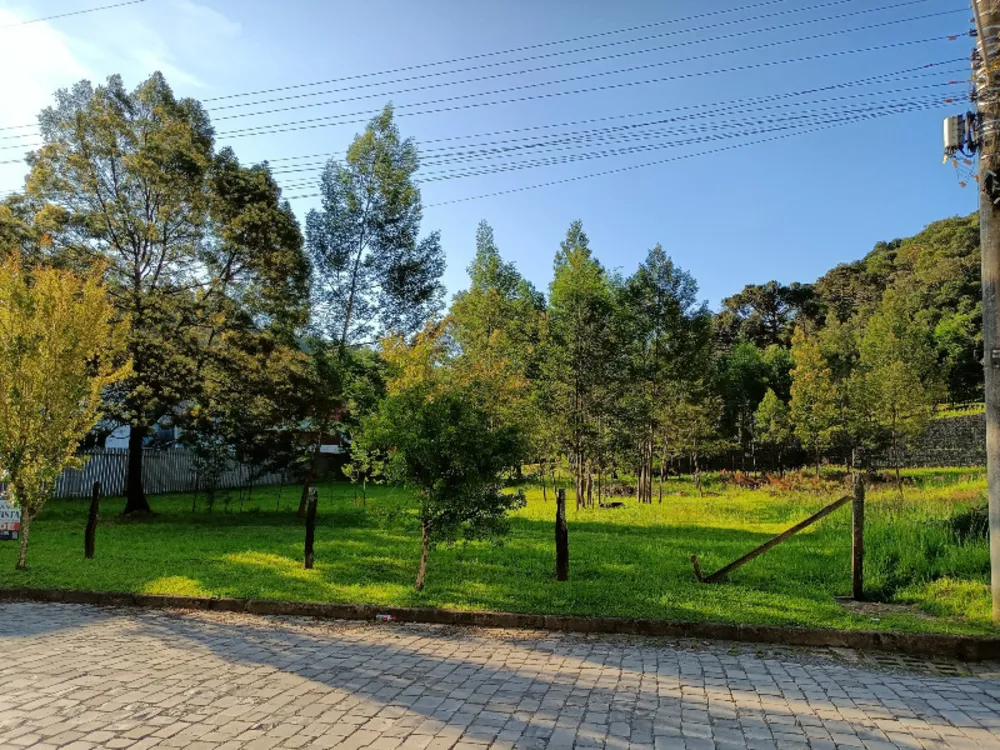Terreno, 405 m² - Foto 2