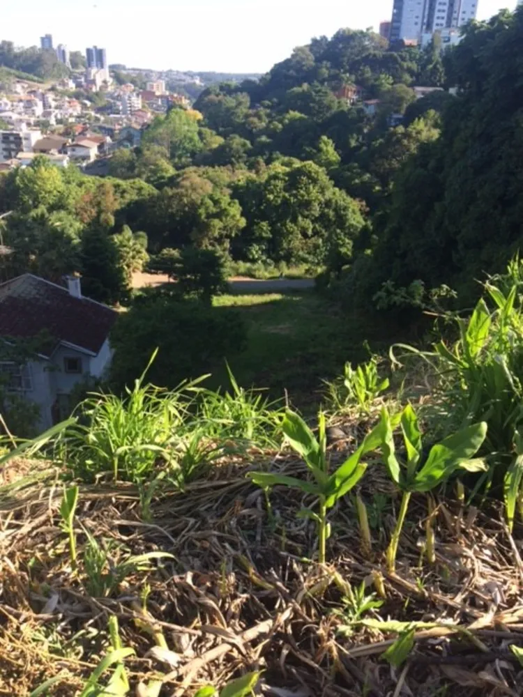 Terreno, 897 m² - Foto 2