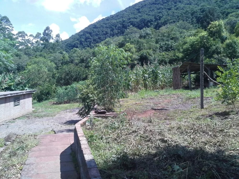 Fazenda à venda com 4 quartos, 160000m² - Foto 3