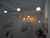 Sala-Conjunto, 364 m² - Foto 3