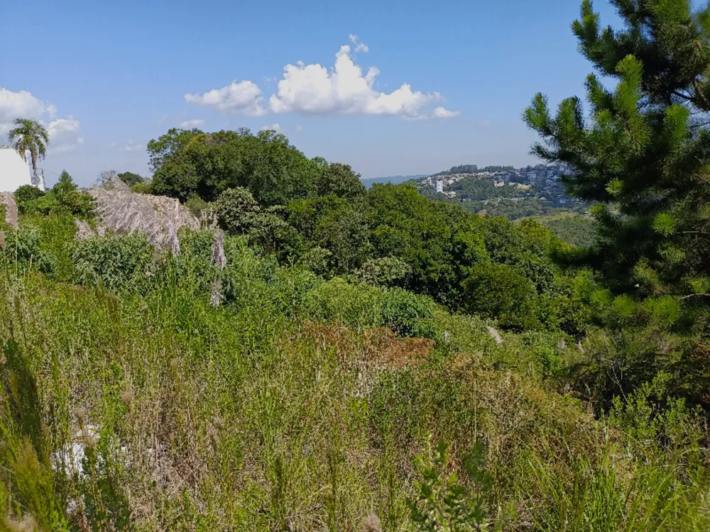 Terreno, 750 m² - Foto 1