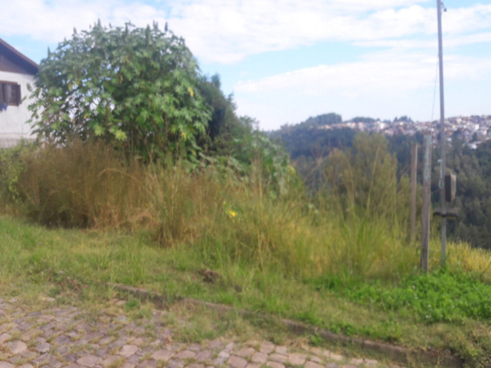 Terreno, 600 m² - Foto 4