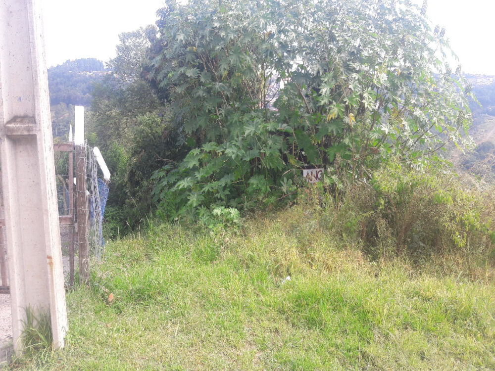 Terreno, 600 m² - Foto 2