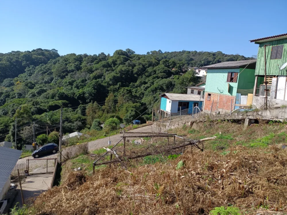 Terreno, 360 m² - Foto 3