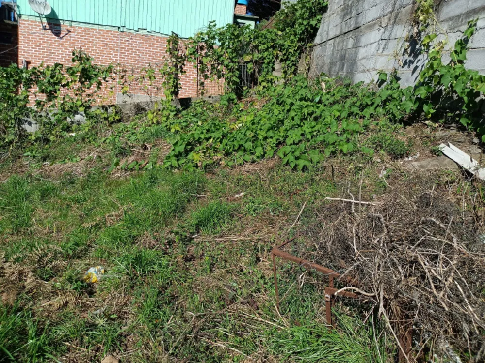 Terreno, 360 m² - Foto 7