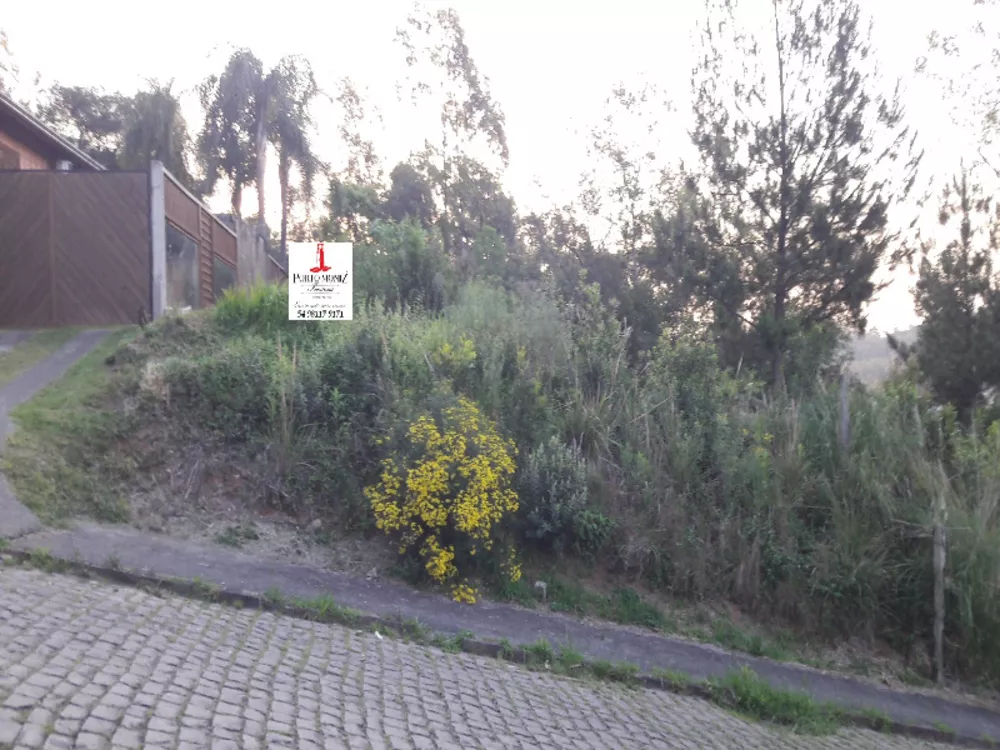 Terreno à venda, 360m² - Foto 5