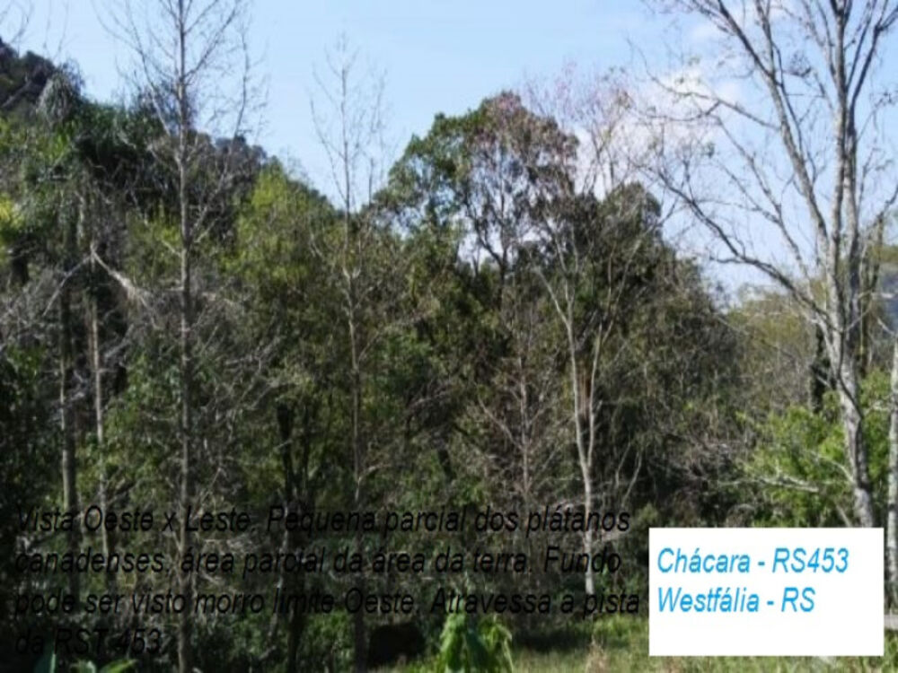 Chácara, 2 quartos, 12 m² - Foto 4