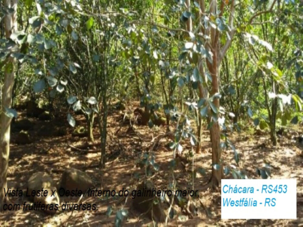 Chácara, 2 quartos, 12 m² - Foto 1